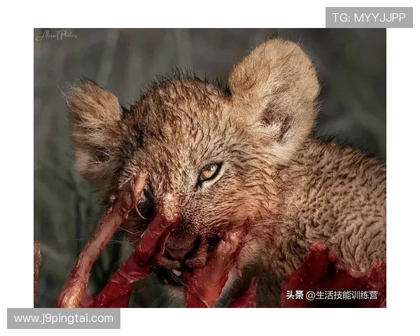 九游血流成河：精彩的剧情设计让你沉浸在血腥激烈的战斗世界中